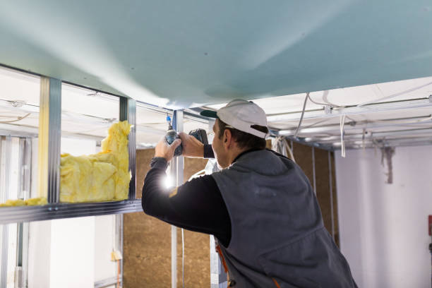 Insulation Replacement Services in Sedgwick, KS